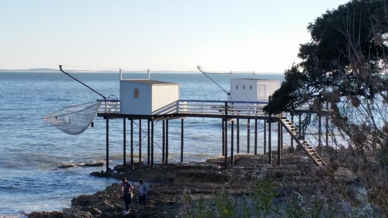 Le Clos Des Oiseaux Saintes Kültér fotó