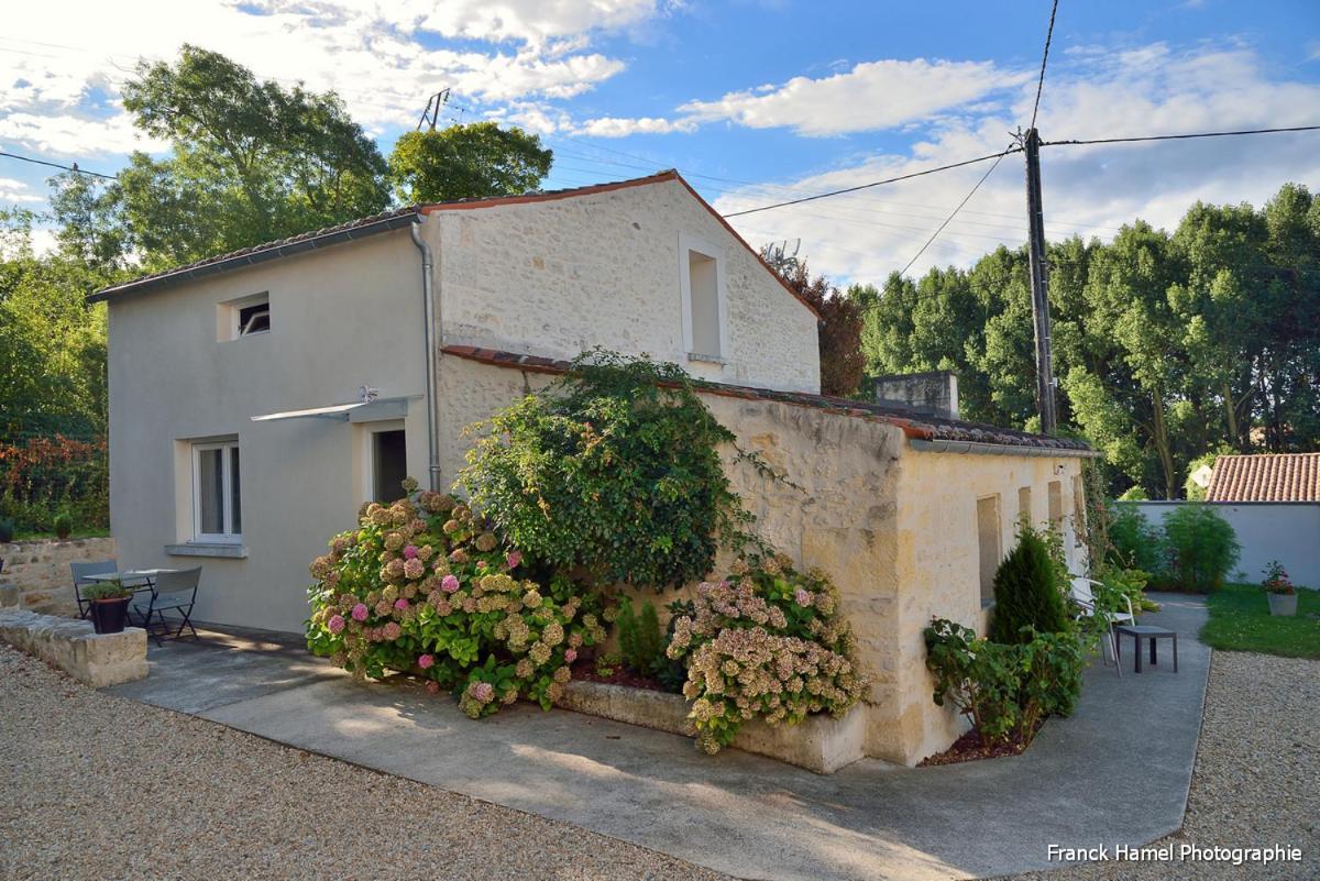 Le Clos Des Oiseaux Saintes Kültér fotó