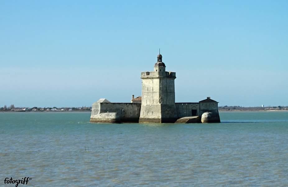 Le Clos Des Oiseaux Saintes Kültér fotó