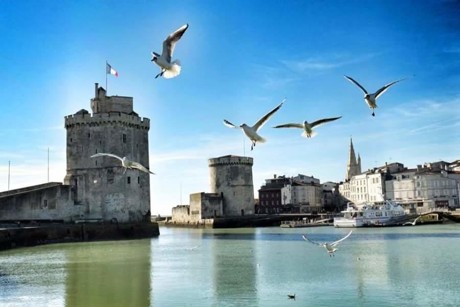 Le Clos Des Oiseaux Saintes Kültér fotó